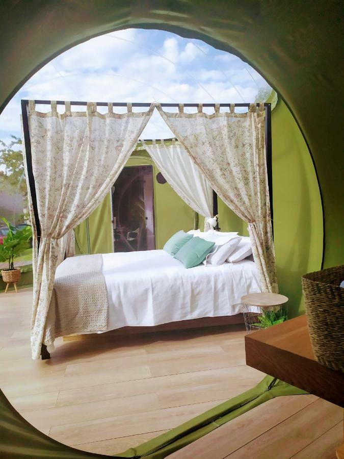 Remanso De Trasfontao Casa Das Arbores & Bubble 실레다 외부 사진