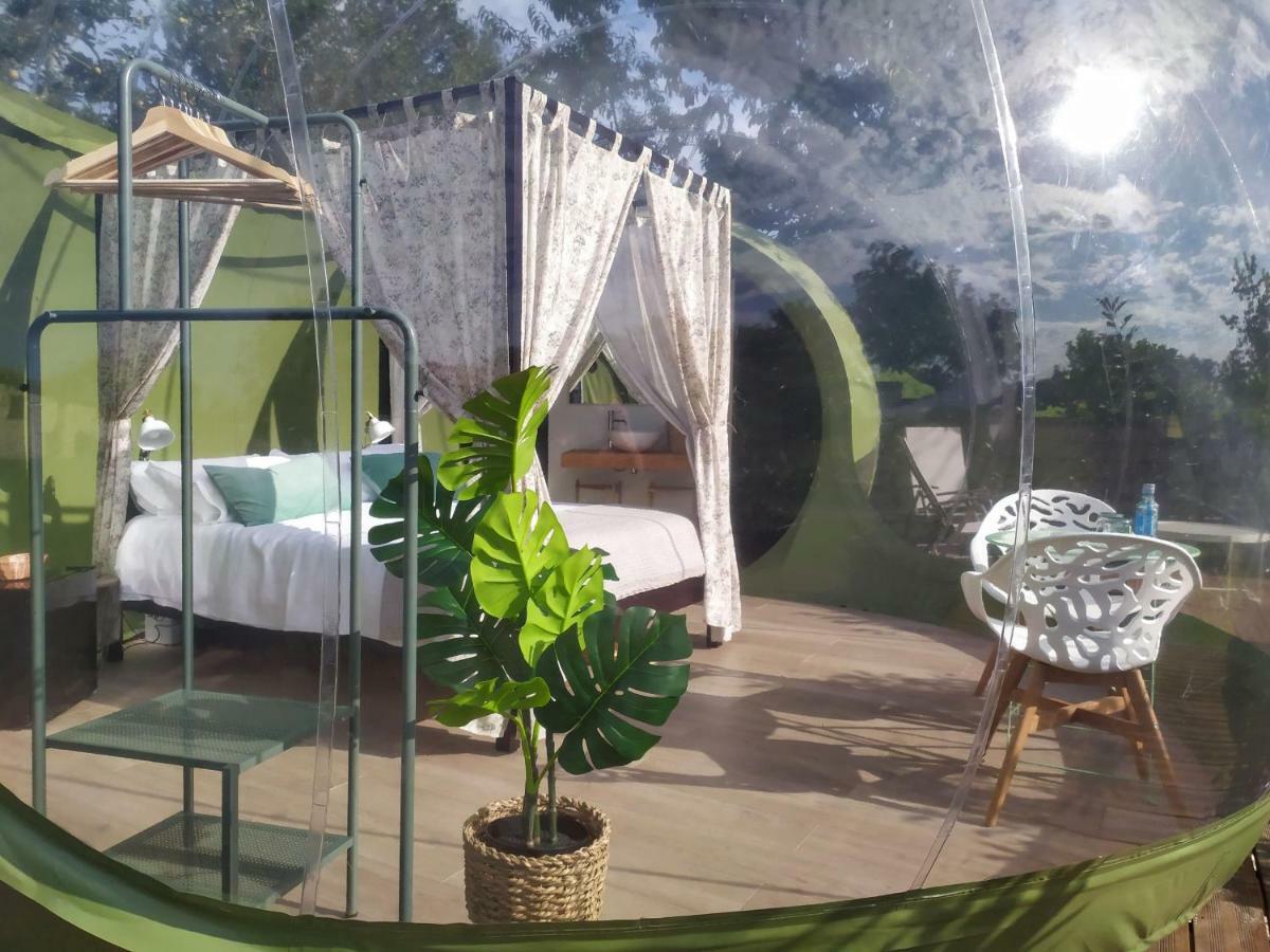 Remanso De Trasfontao Casa Das Arbores & Bubble 실레다 외부 사진