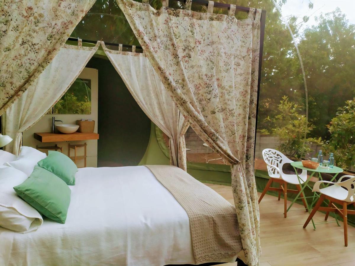 Remanso De Trasfontao Casa Das Arbores & Bubble 실레다 외부 사진