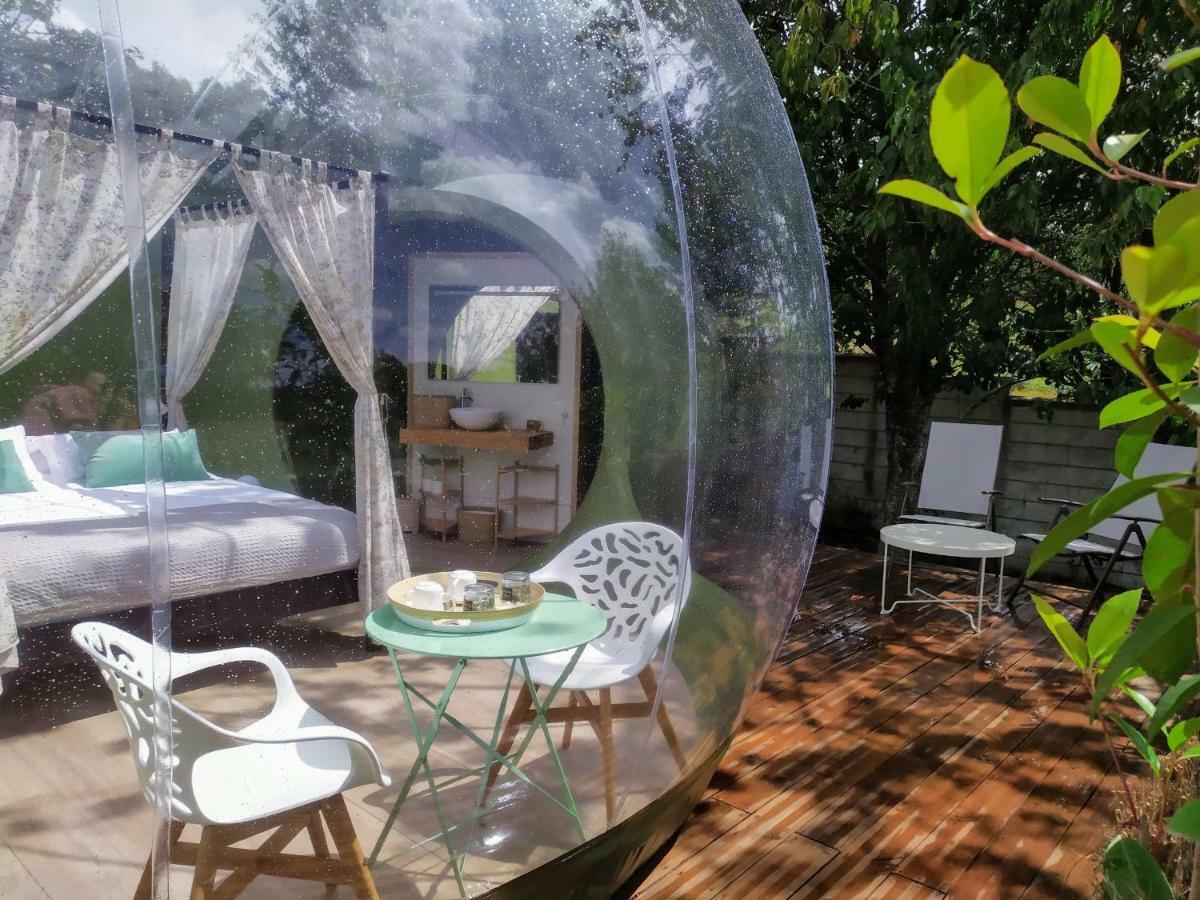 Remanso De Trasfontao Casa Das Arbores & Bubble 실레다 외부 사진