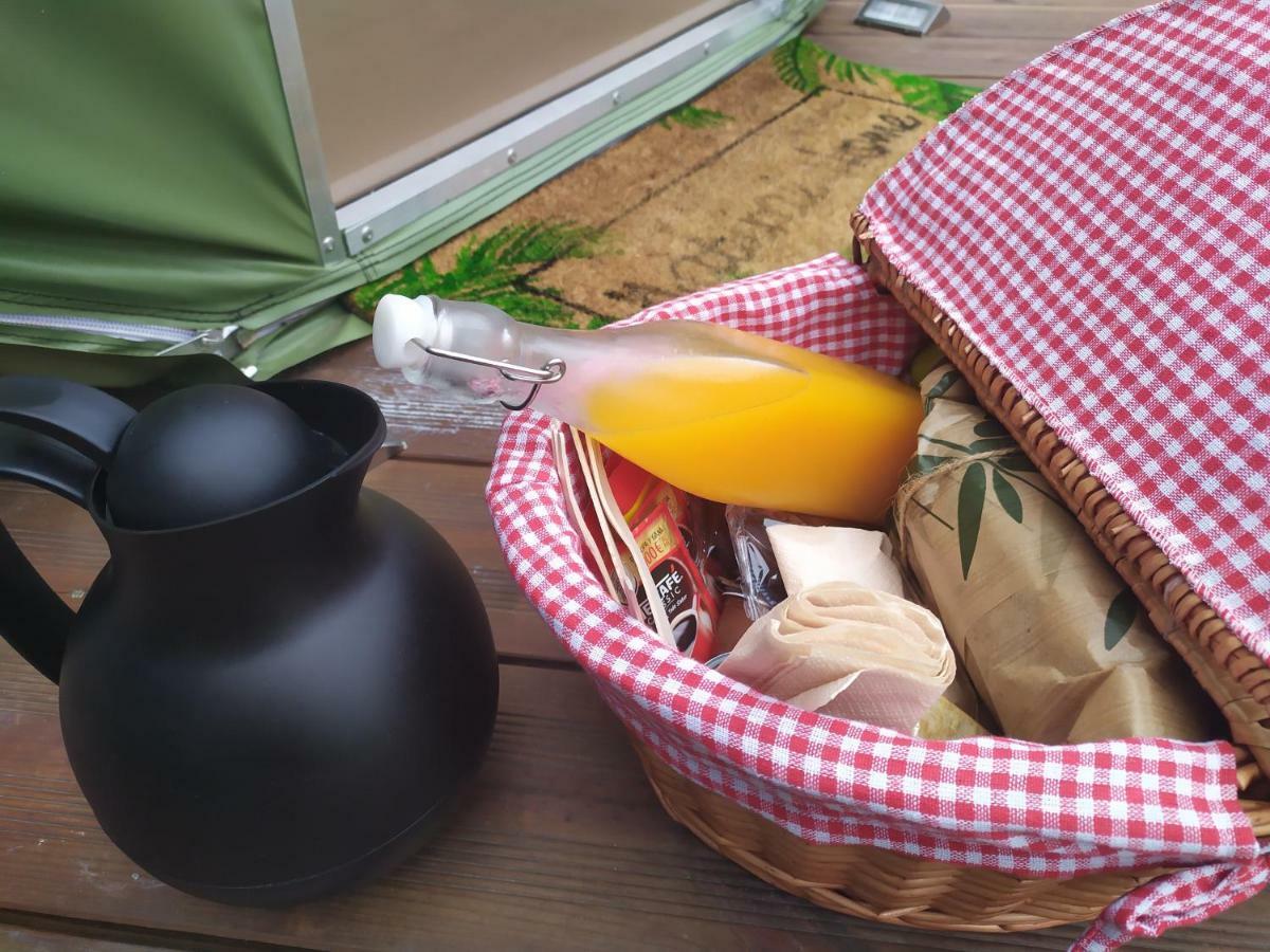 Remanso De Trasfontao Casa Das Arbores & Bubble 실레다 외부 사진