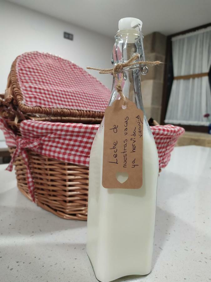 Remanso De Trasfontao Casa Das Arbores & Bubble 실레다 외부 사진