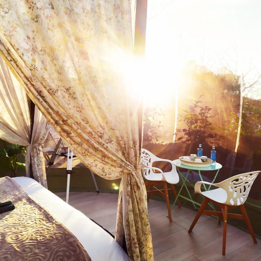 Remanso De Trasfontao Casa Das Arbores & Bubble 실레다 외부 사진