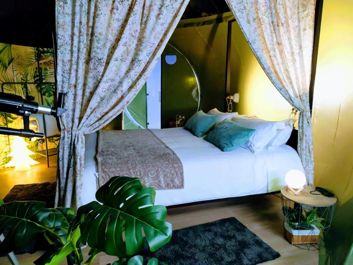 Remanso De Trasfontao Casa Das Arbores & Bubble 실레다 외부 사진